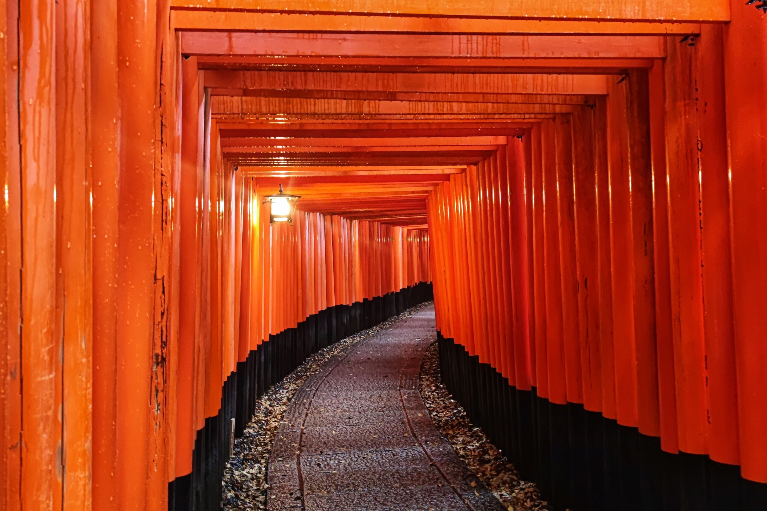 Japan three cities, Kyoto, Fushimi Inari